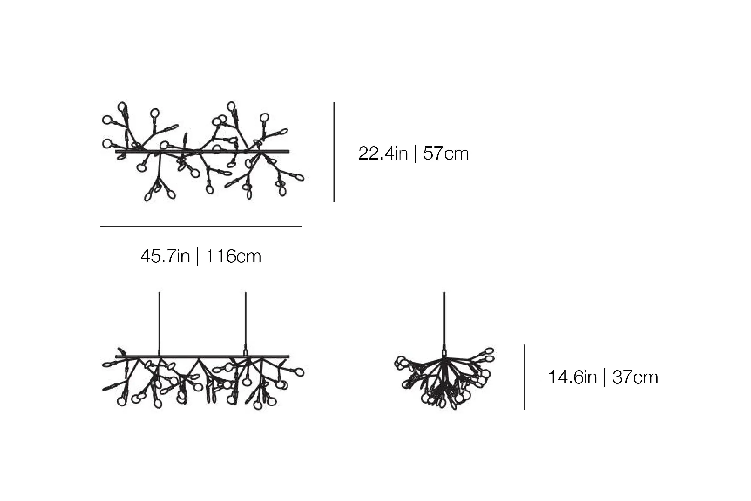 Heracleum III Endless UL