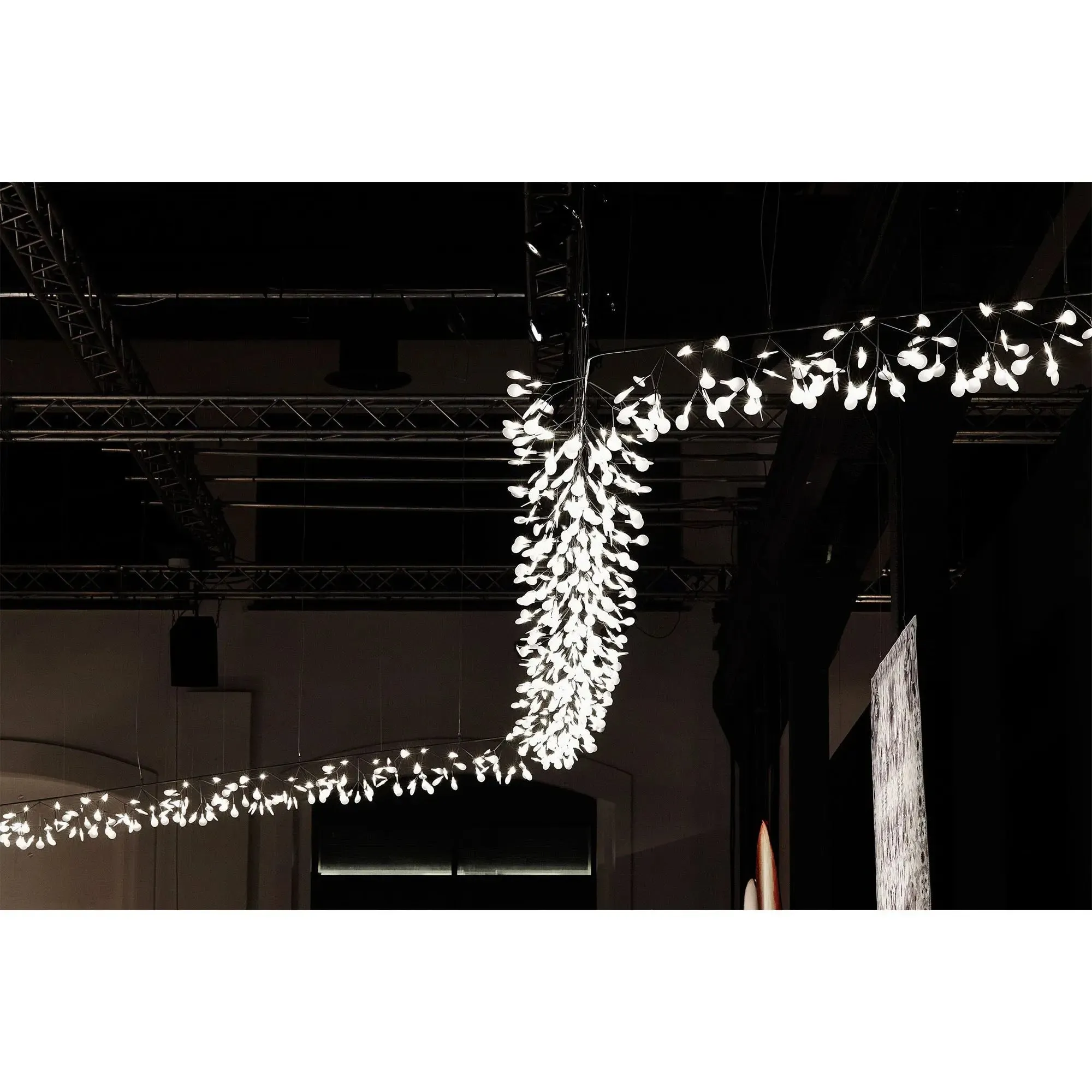 Heracleum III Endless UL