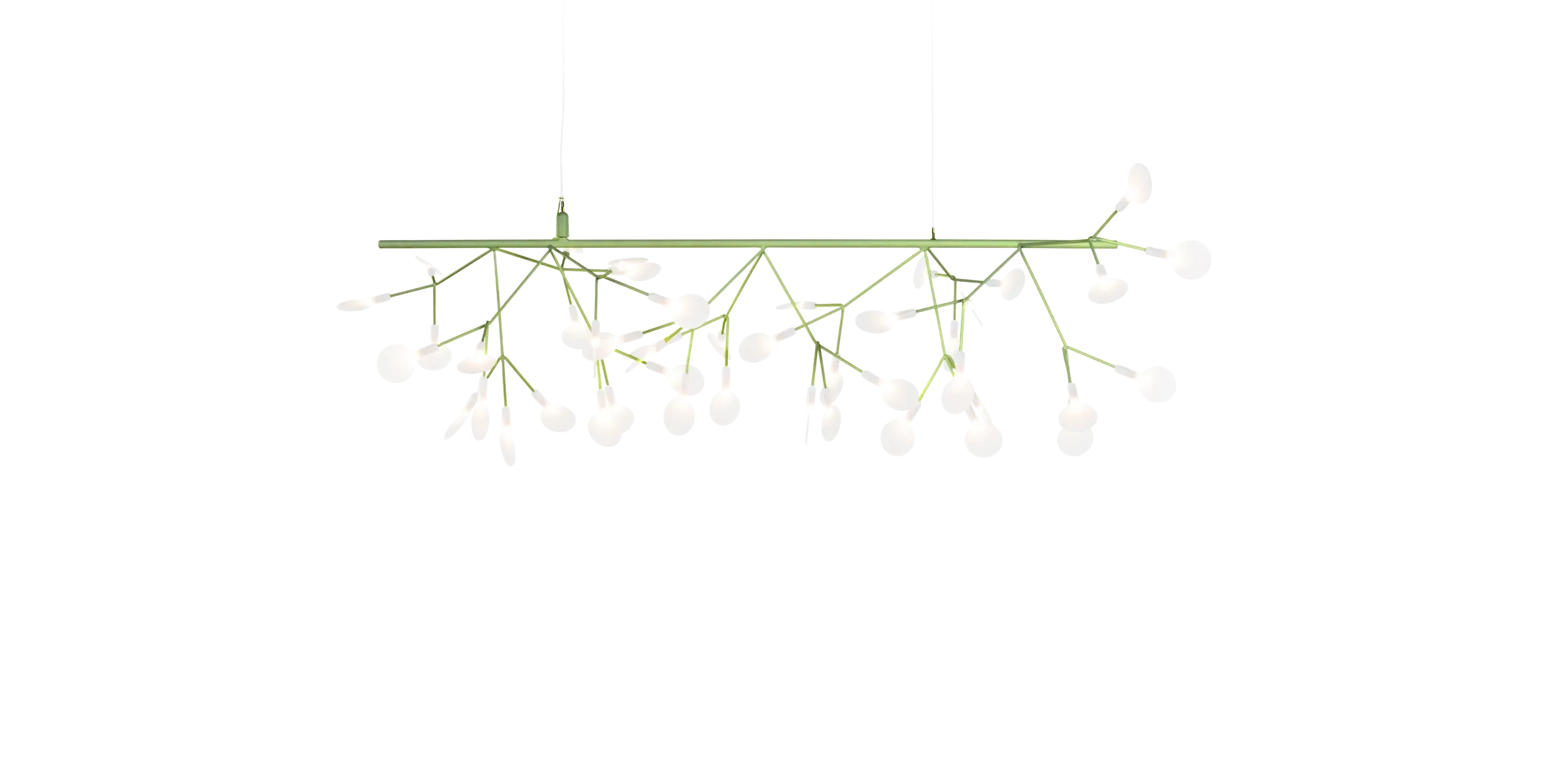 Heracleum III Endless UL