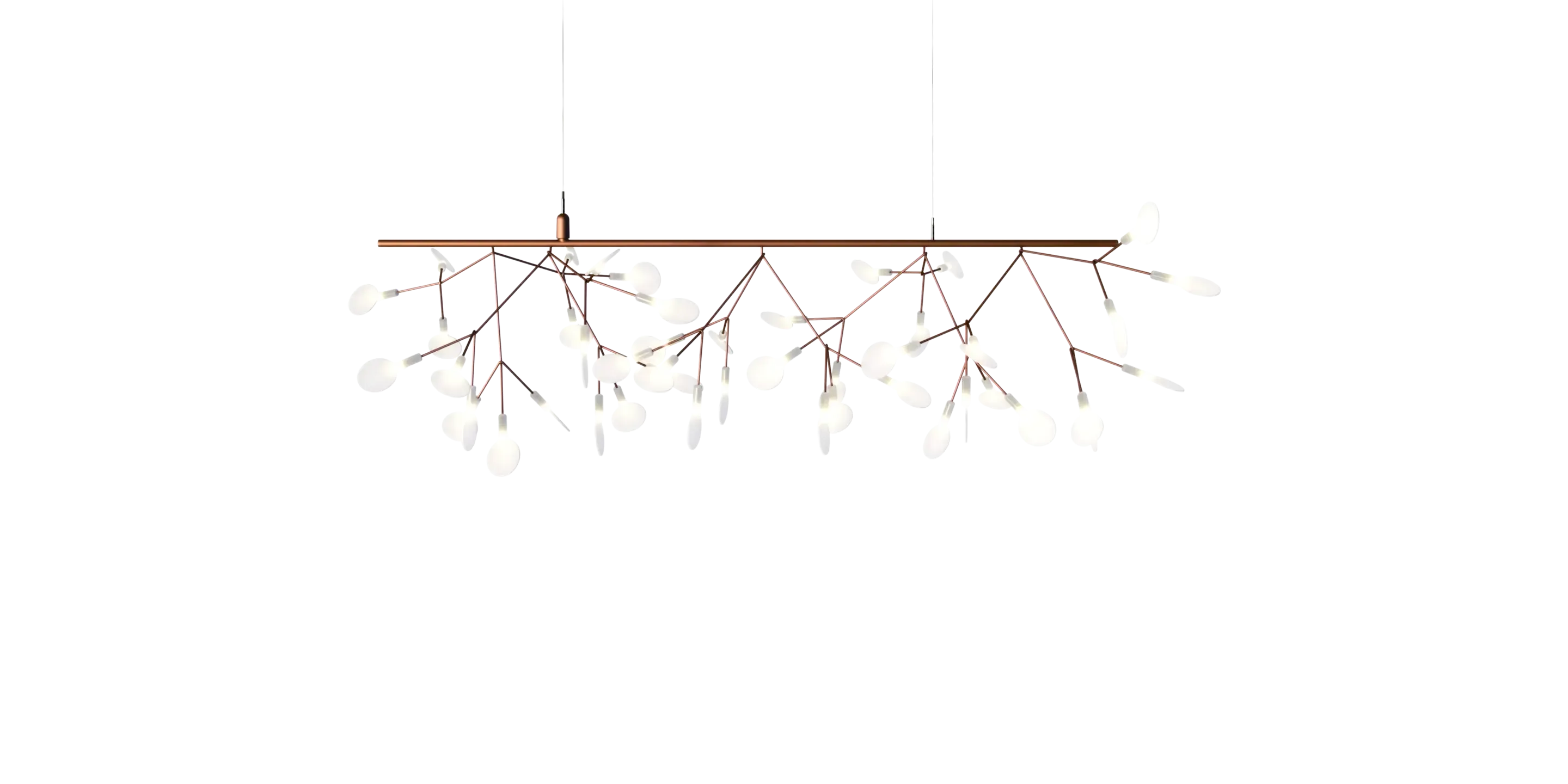 Heracleum III Endless UL