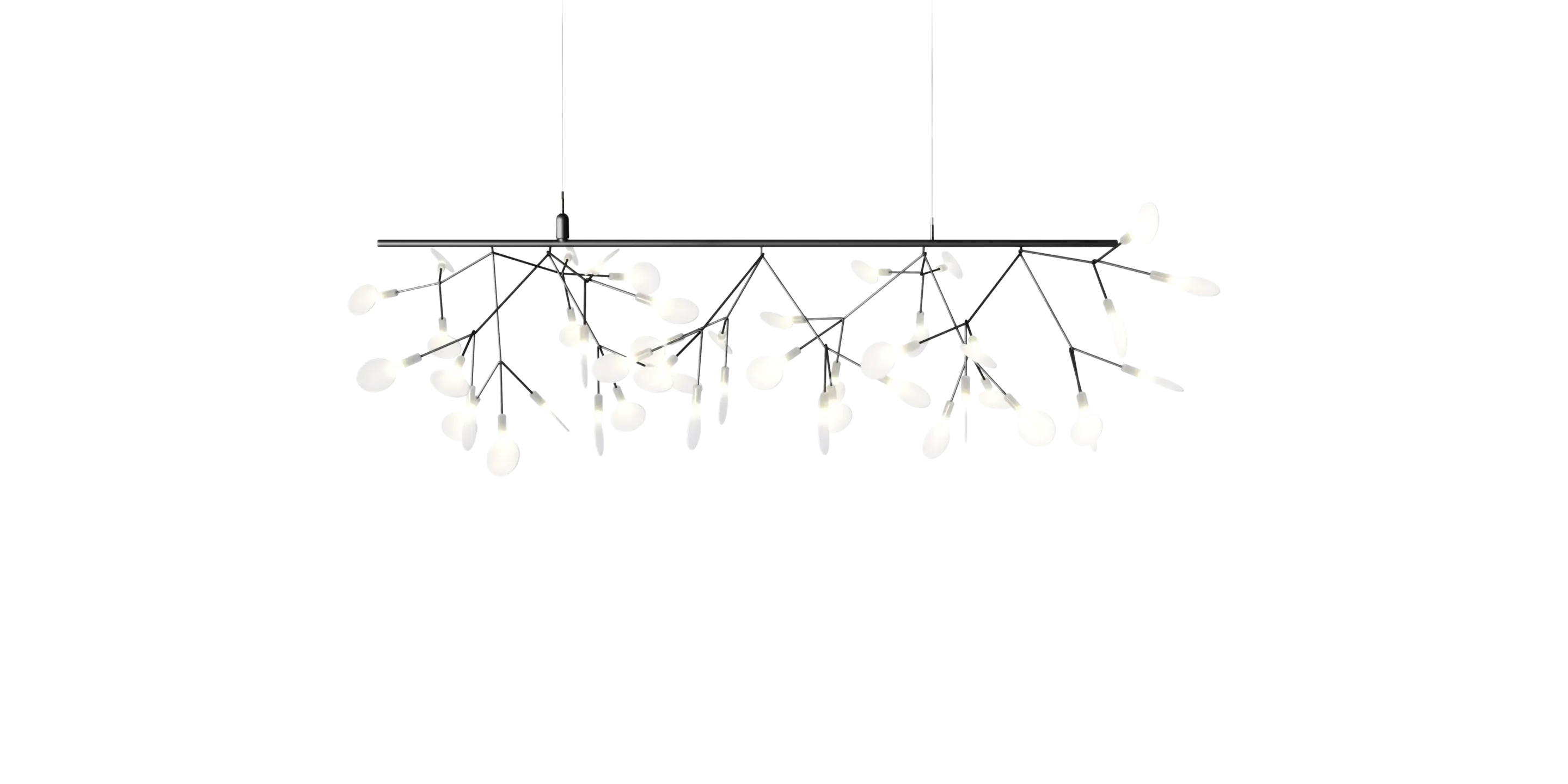 Heracleum III Endless UL