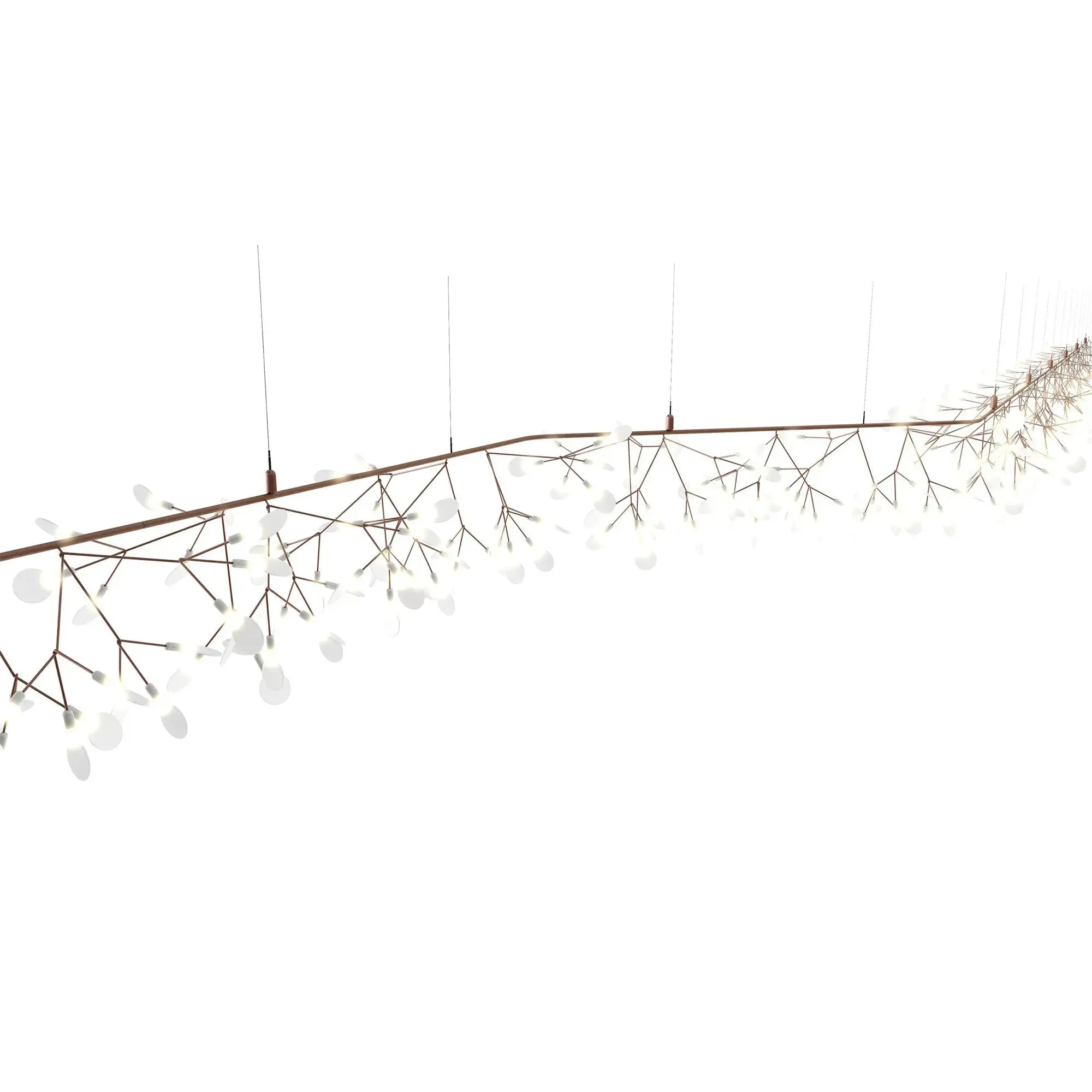 Heracleum III Endless UL
